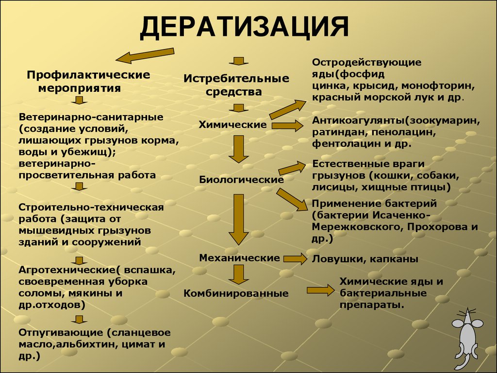 На фото описано про дератизацию